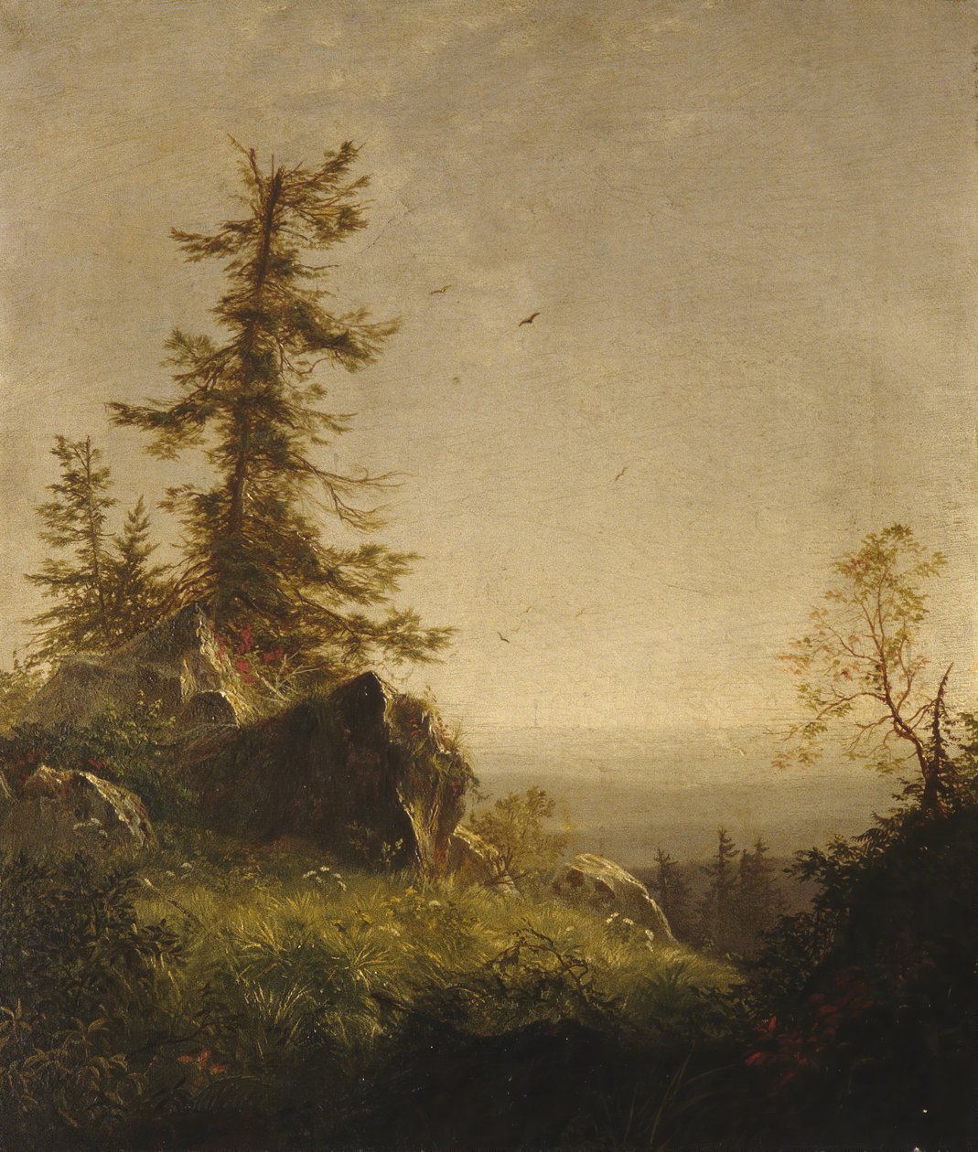 Poranek na górze, 1856. autorstwa Richard William Hubbard