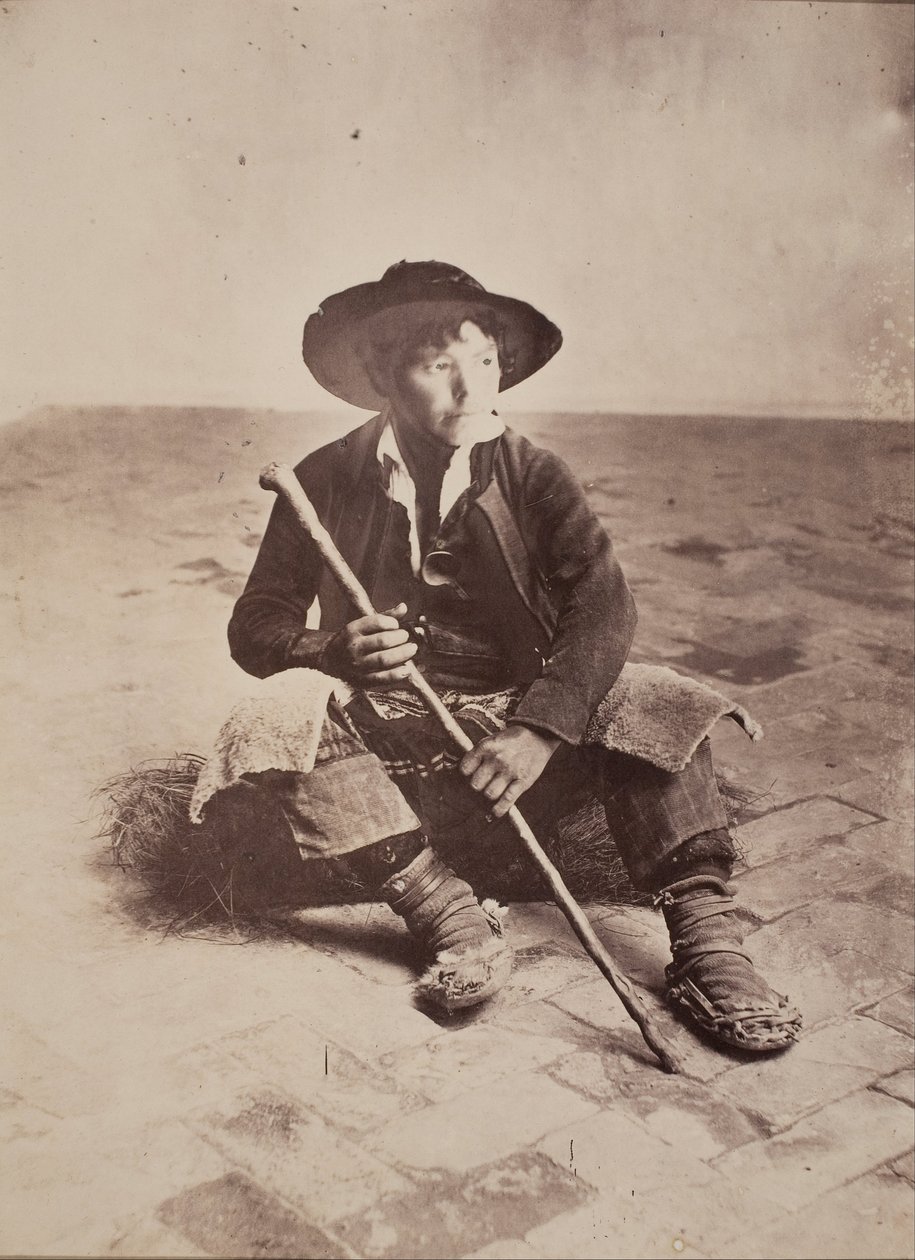 Sewilla, owczarek andaluzyjski autorstwa Robert Peters Napper