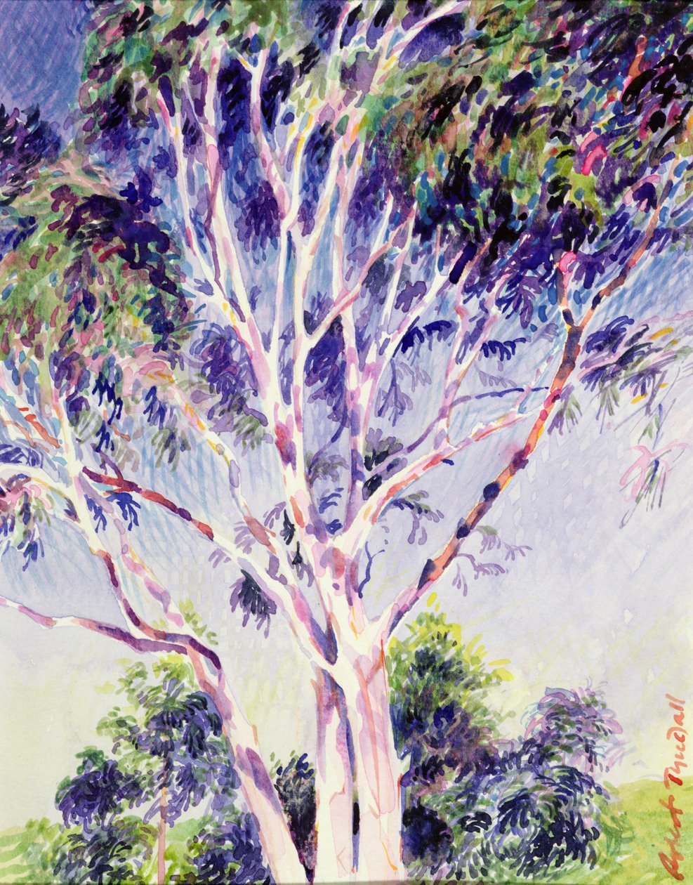 Gum Tree, Australia (wc) autorstwa Robert Tyndall