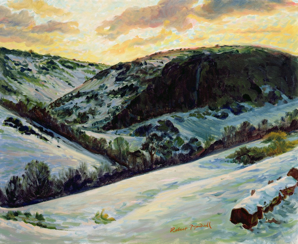 The Devils Dyke w zimie, 1996 r. autorstwa Robert Tyndall