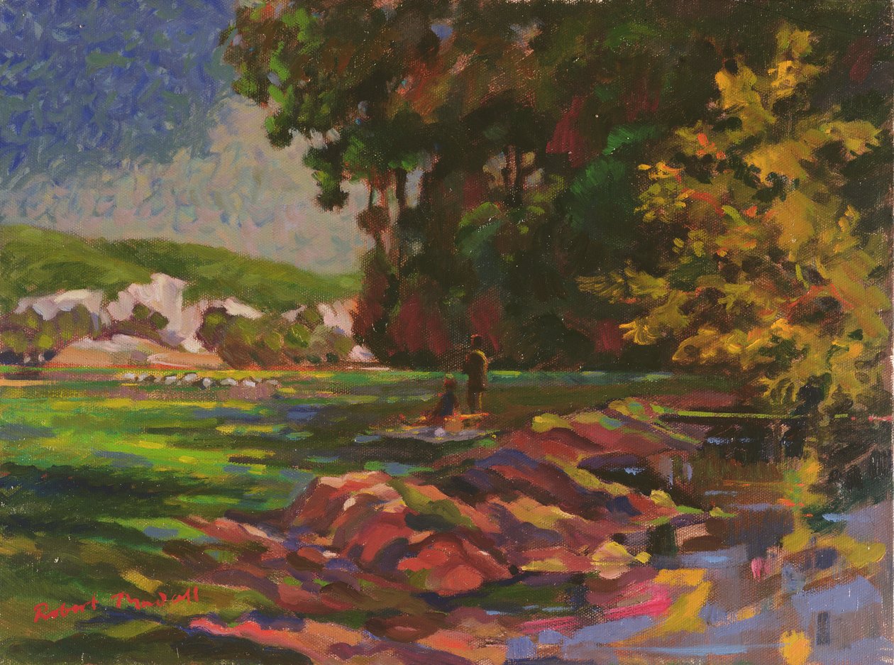 Piknik autorstwa Robert Tyndall
