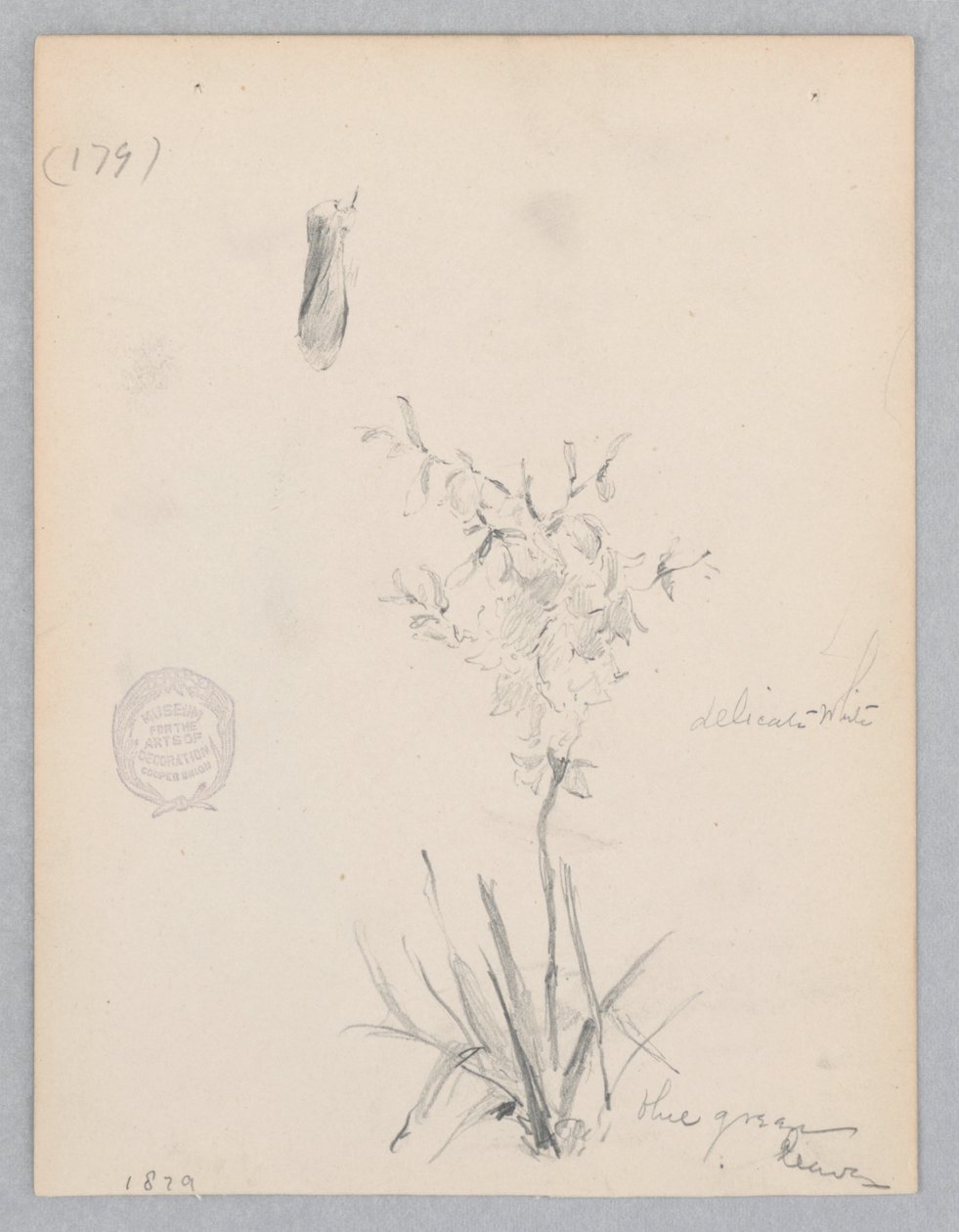 Roślina kwitnąca autorstwa Robert Frederick Blum