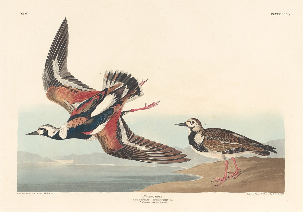Kamień obrotowy, 1836 r. autorstwa Robert Havell