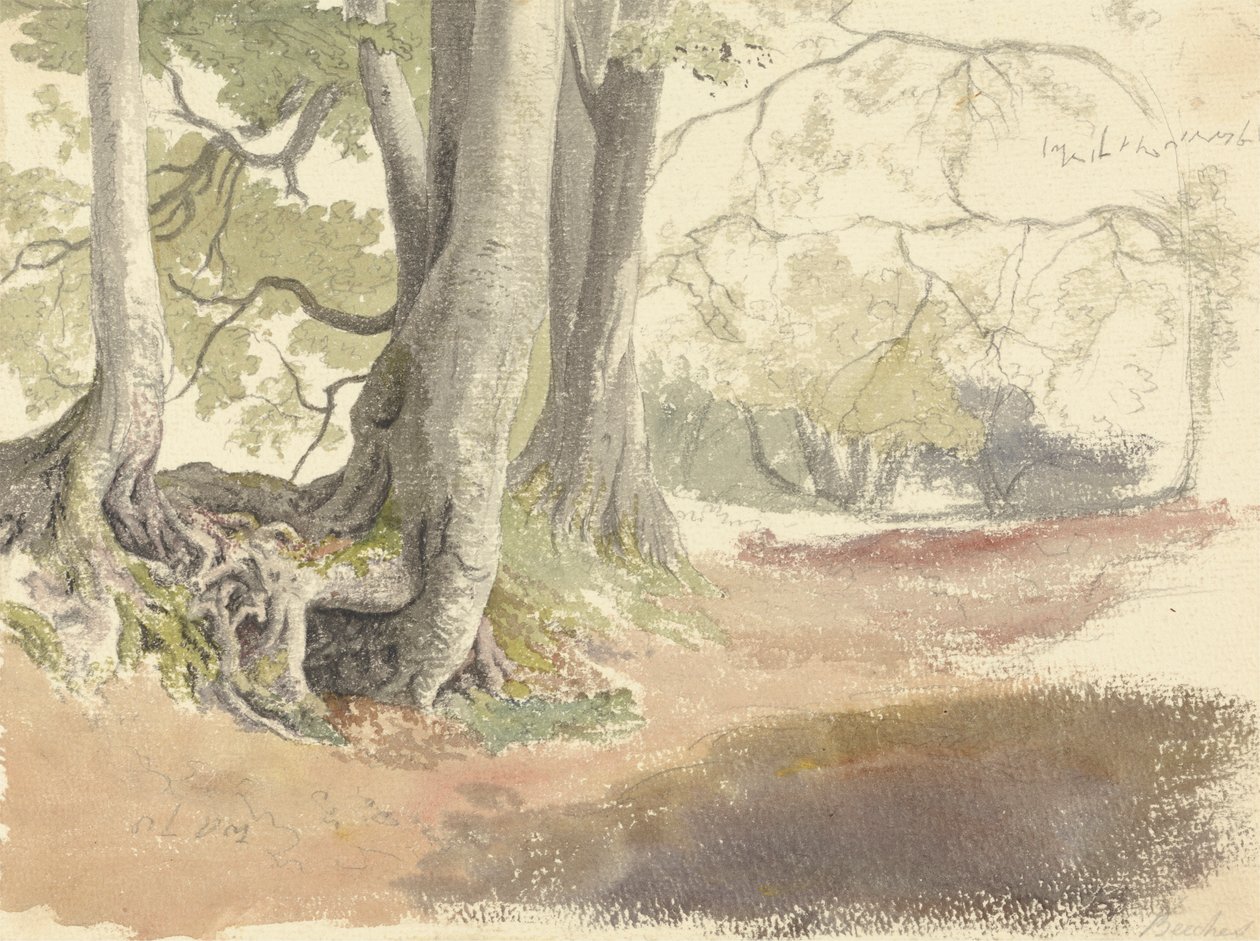 buki autorstwa Robert Hills
