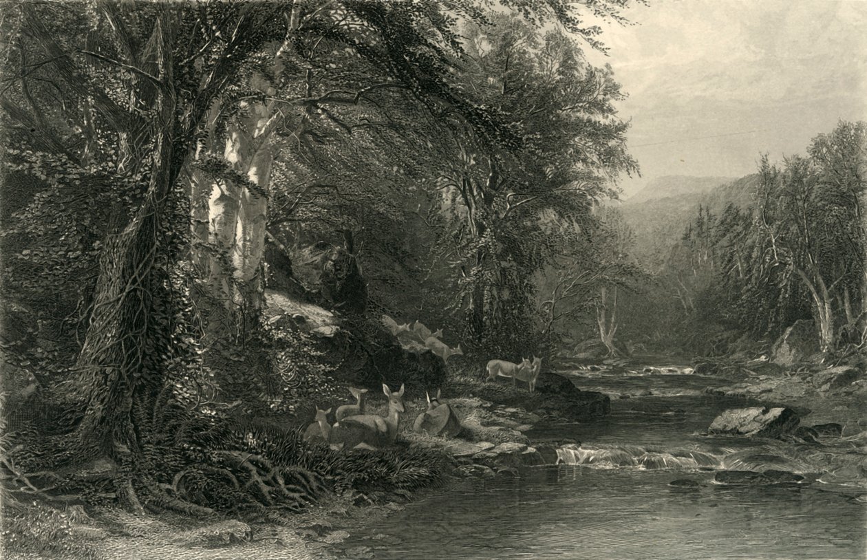 „Las Adirondack”, 1874. autorstwa Robert Hinshelwood
