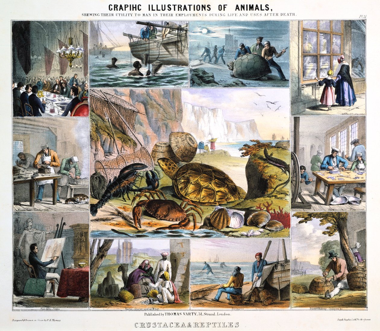 Skorupiaki i gady, ok. 1850 autorstwa Robert Kent Thomas