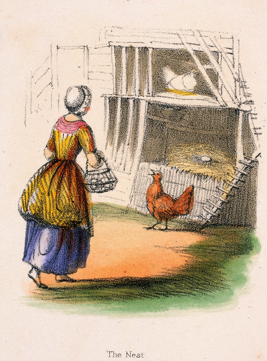 „Gniazdo”, ok. 1845 r. autorstwa Robert Kent Thomas