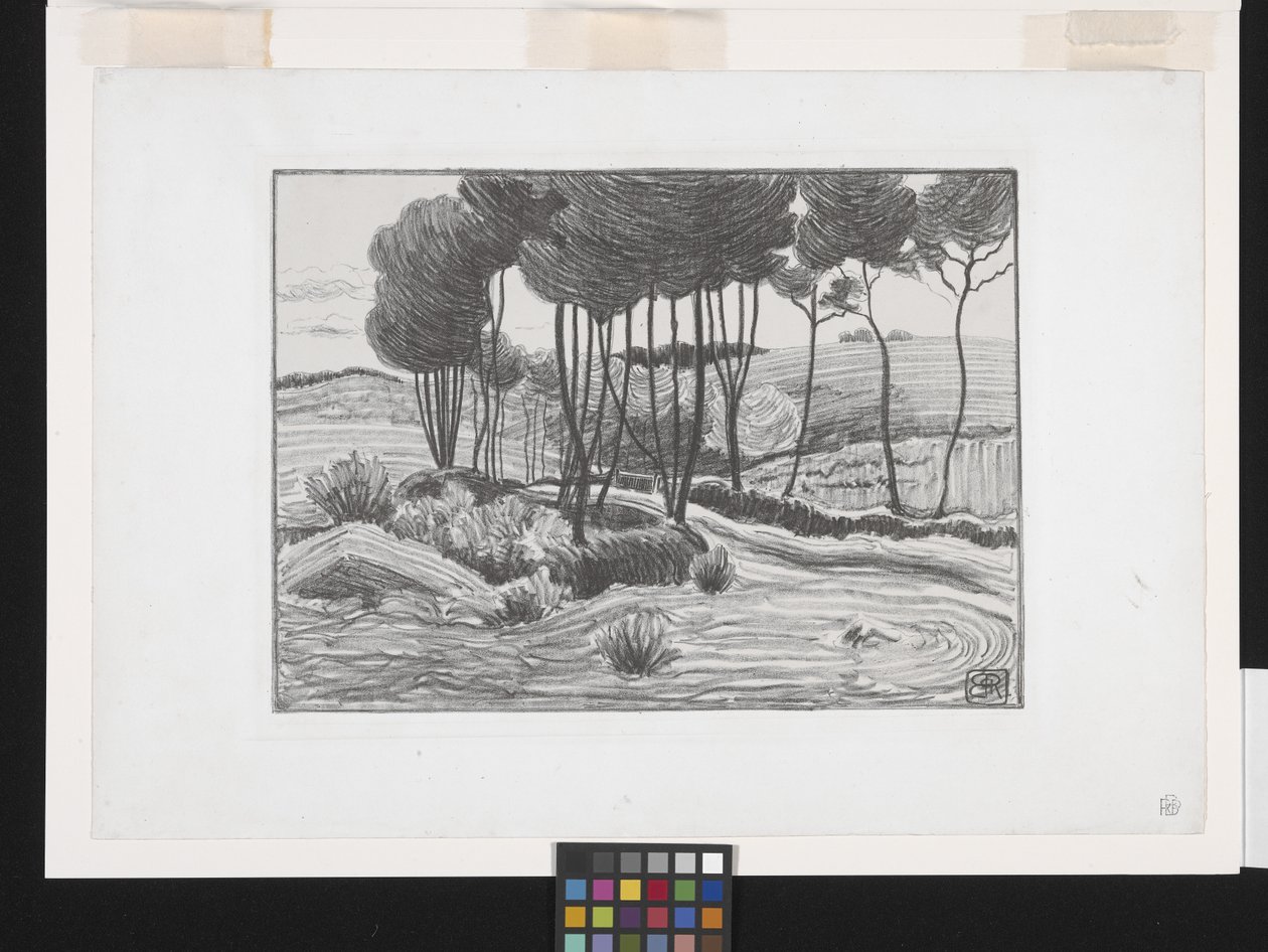 Topole (litografia) autorstwa Robert Polhill Bevan