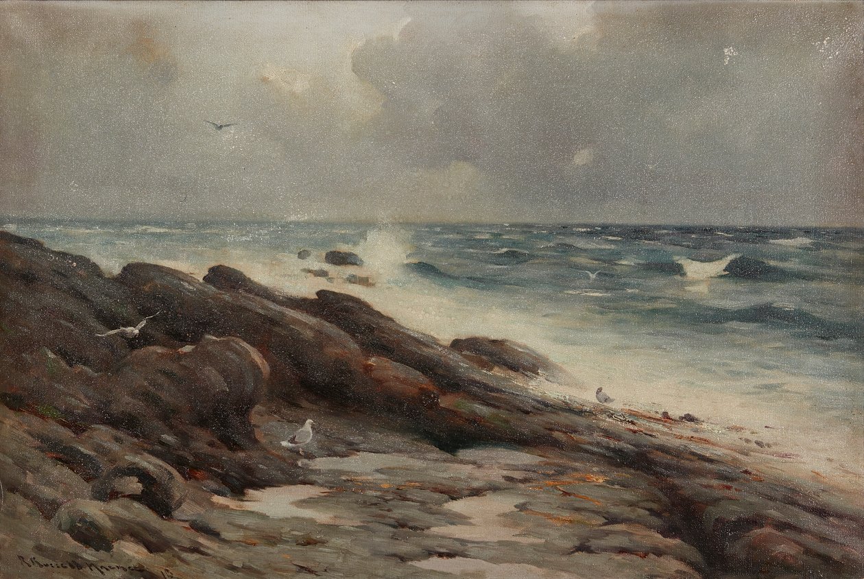 Skaliste wybrzeże (olej na płótnie) autorstwa Robert Russell MacNee