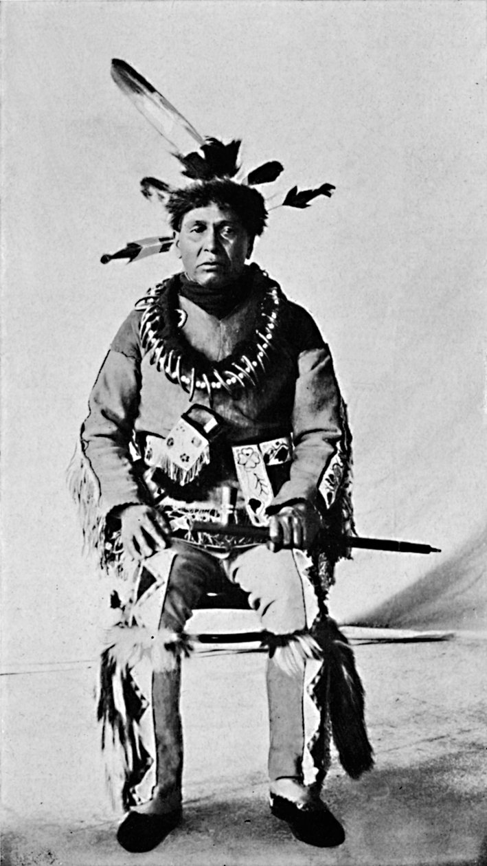 Algonquin w pełnym stroju, 1912 autorstwa Robert Wilson Shufeldt