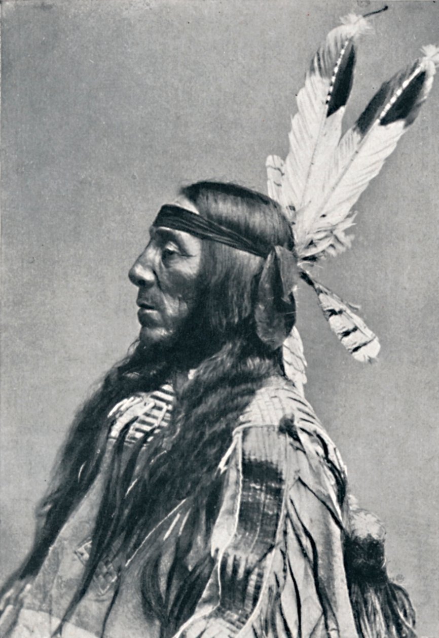 Widok profilu Sioux, 1912 autorstwa Robert Wilson Shufeldt