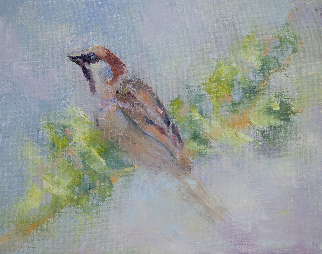 P. Domesticus, 2014 (olej na płótnie) autorstwa Roberta Murray