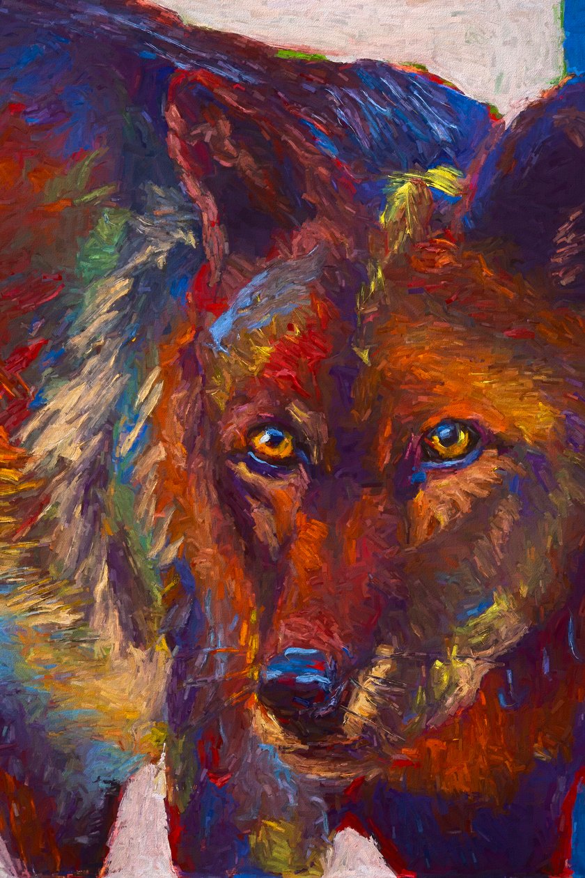 Stare Down, 2019 (olej na panelu) autorstwa Roberta Murray