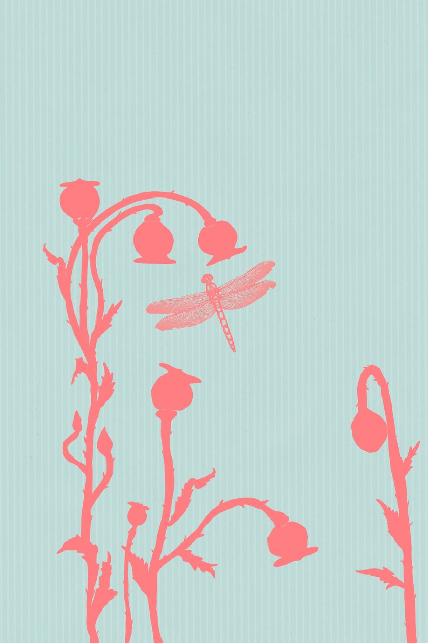 The Poppy, 2023 (w wersji cyfrowej) autorstwa Roberta Murray