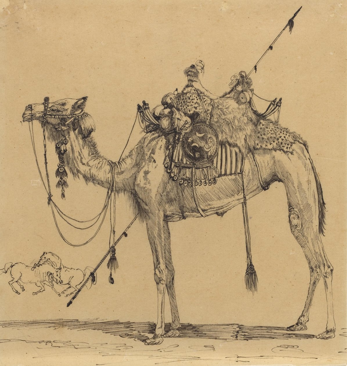 Wielbłąd (pióro i atrament) autorstwa Rodolphe Bresdin