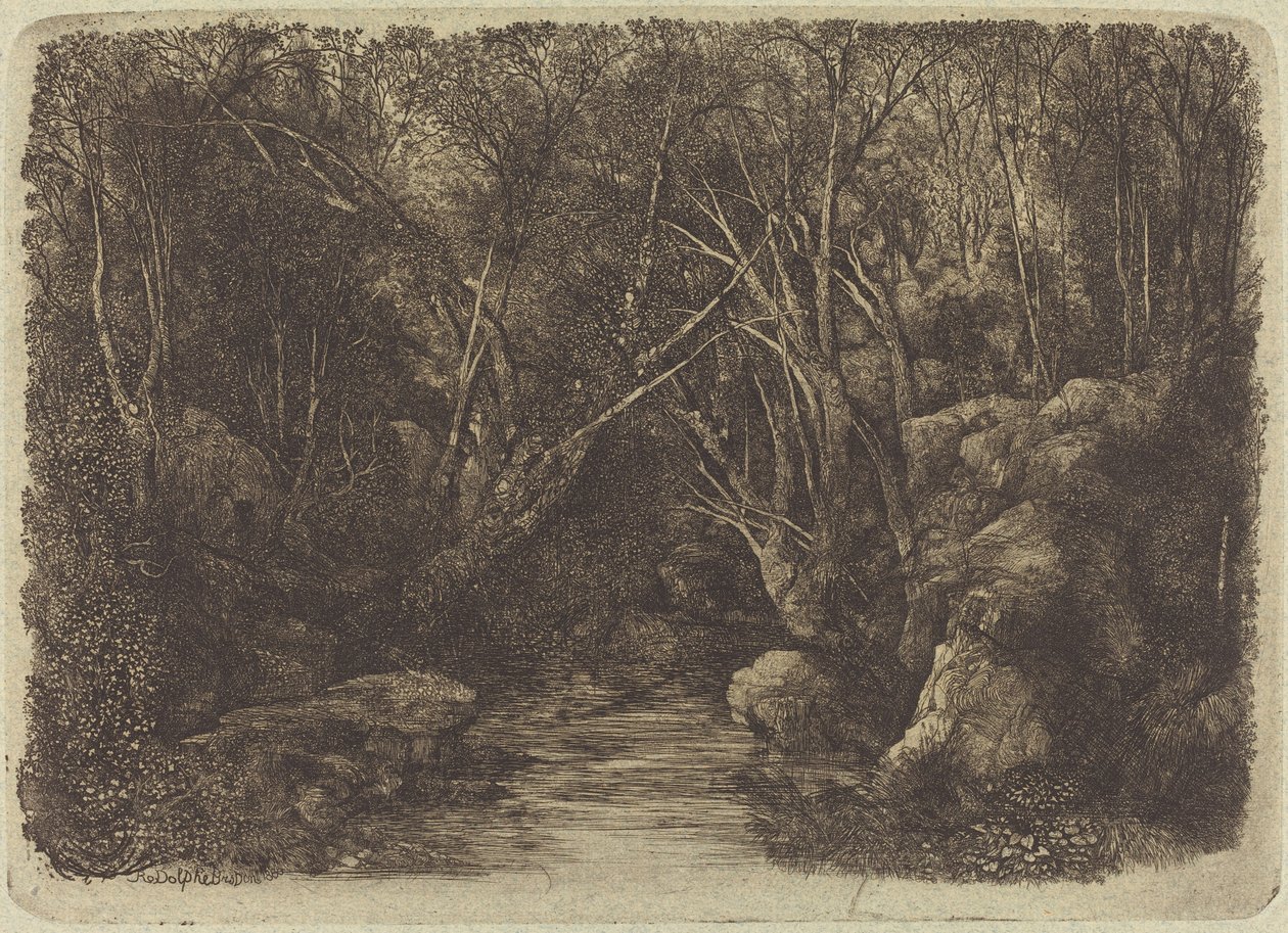 Potok w lesie autorstwa Rodolphe Bresdin