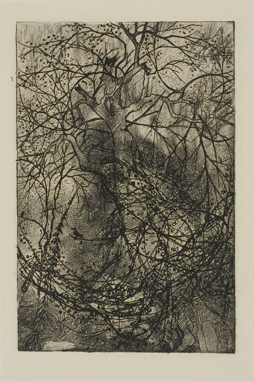 Gałęzie drzew autorstwa Rodolphe Bresdin