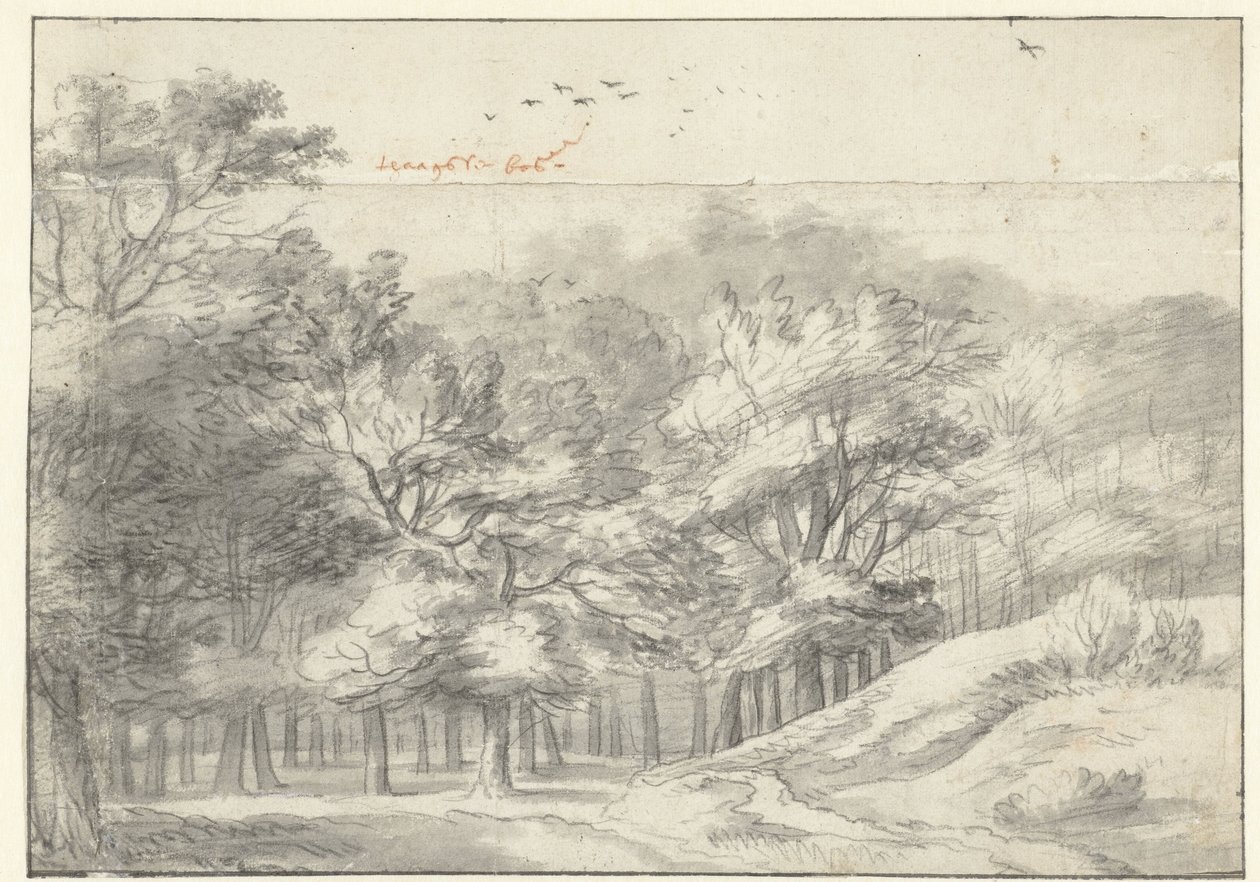 Zobacz w Haagse Bos autorstwa Roelant Roghman