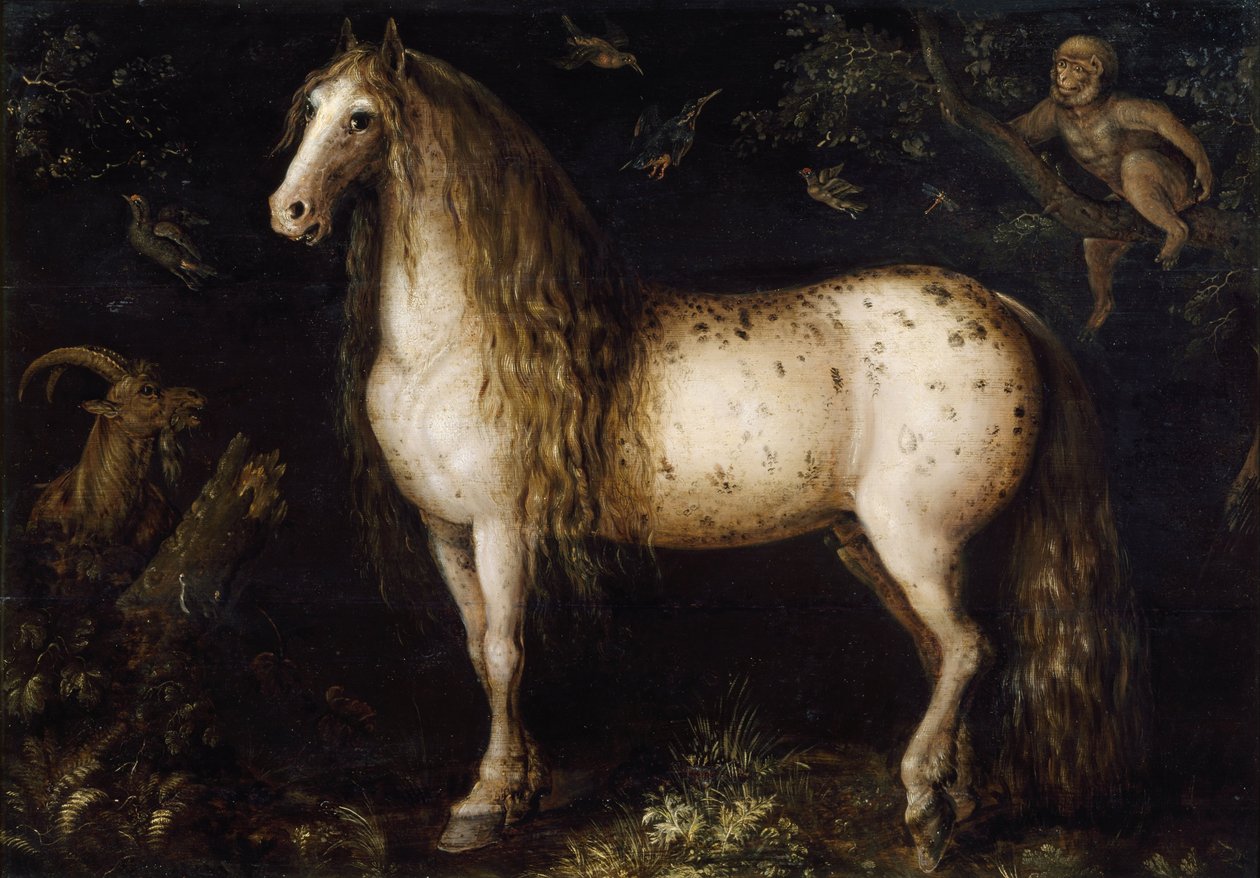 Pstrokata szara, ok. 1625-1630 autorstwa Roelant Savery