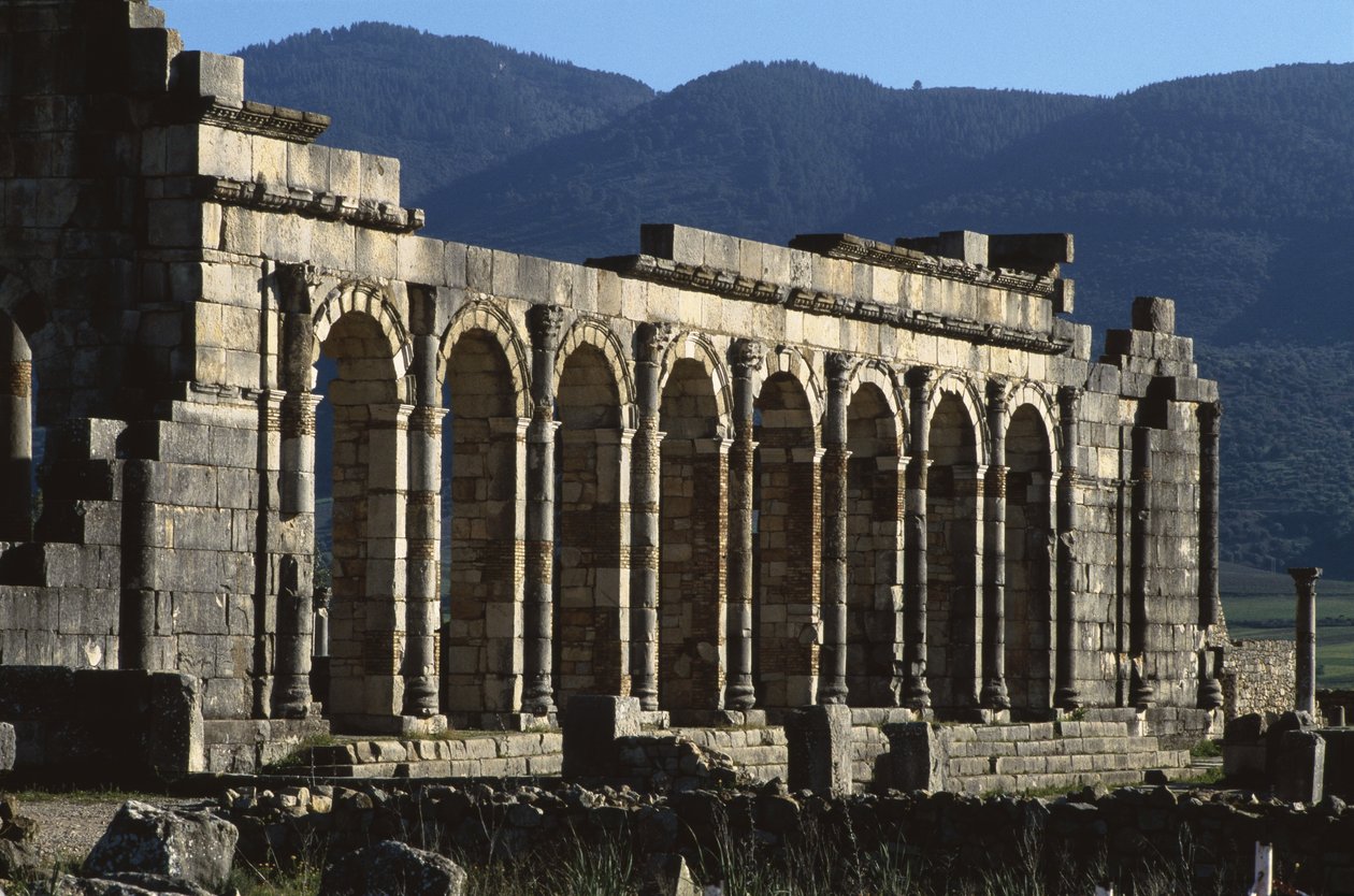 Bazylika, AD 217 autorstwa Roman