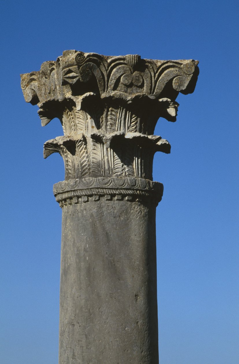 Kapitał w stylu korynckim autorstwa Roman
