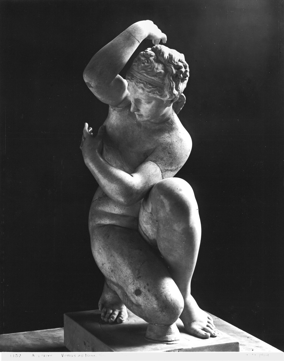 Przyczajona Wenus, kopia greckiego oryginału z III wieku p.n.e. (marmur) (patrz także 191002, 191003) autorstwa Roman