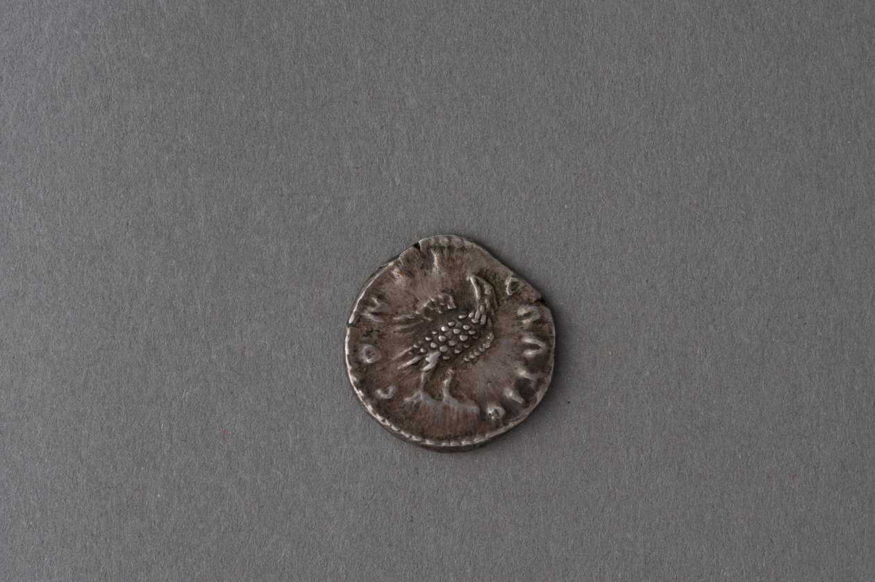 Denarius Antoninusa Piusa (srebro) autorstwa Roman