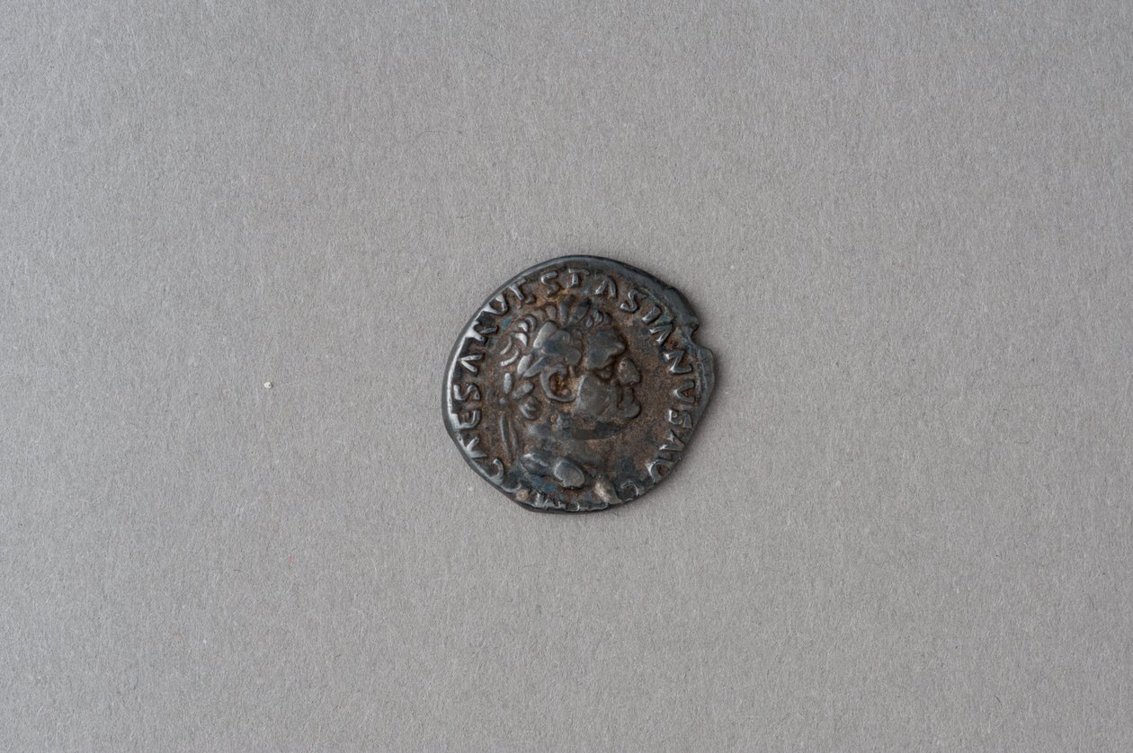 Denar Wespazjana (srebro) autorstwa Roman