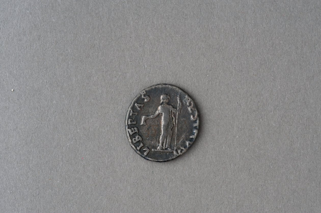 Denar Witeliusza (srebro) autorstwa Roman