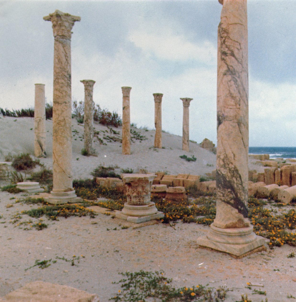Wykopaliska na wydmach autorstwa Roman