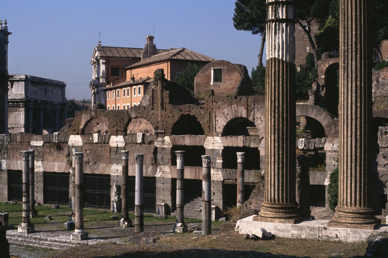 Forum autorstwa Roman