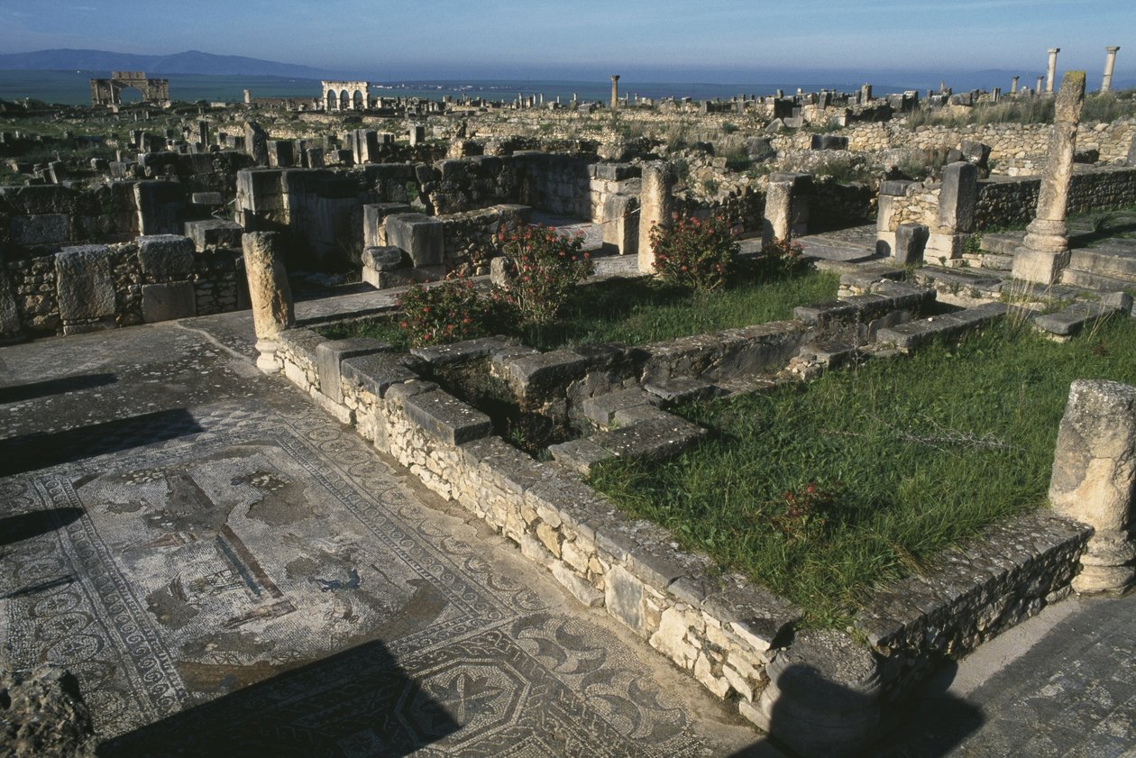 Ogólna perspektywa autorstwa Roman