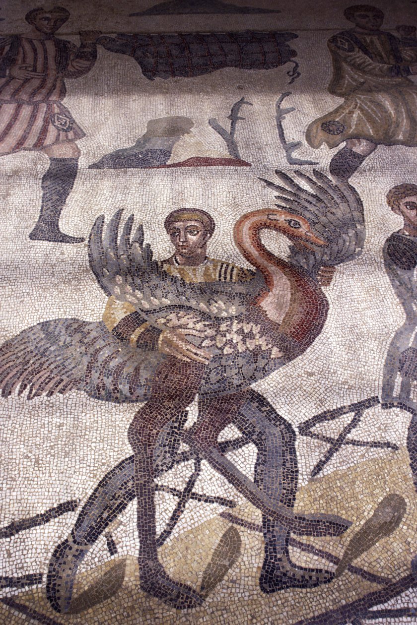 Mężczyzna niosący łabędzia, fragment ze sceny polowania (mozaika) autorstwa Roman