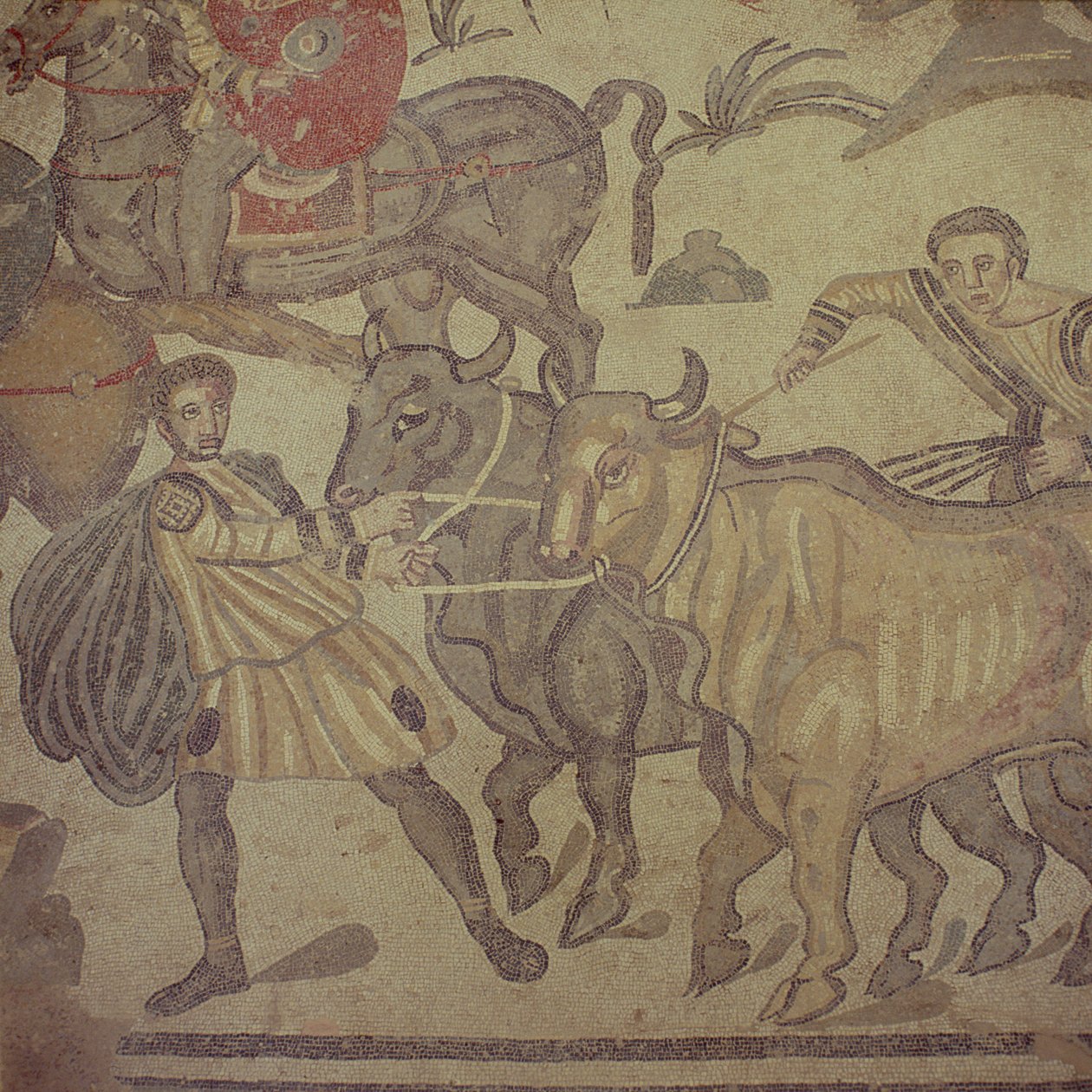 Woły transportujące wodę, mozaika rzymska, początek IV wieku (mozaika) autorstwa Roman