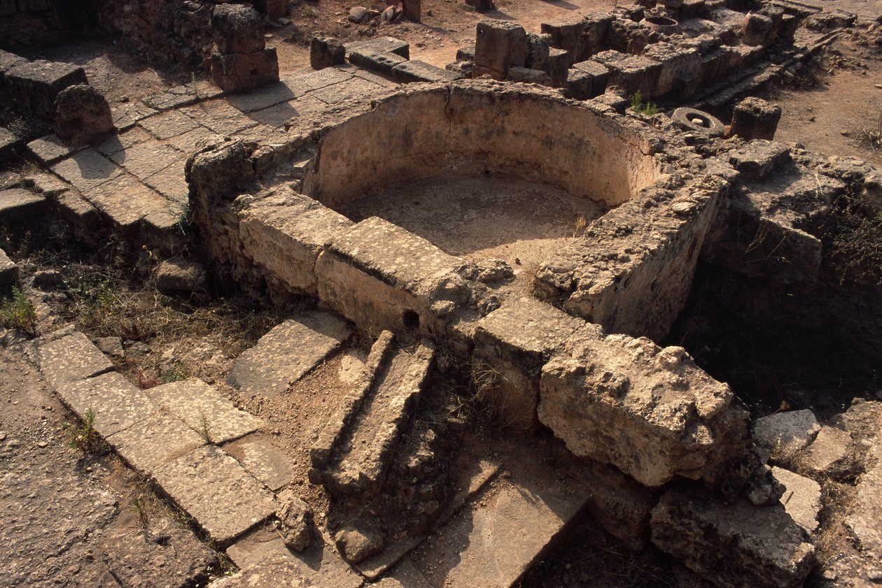 Zbiornik autorstwa Roman