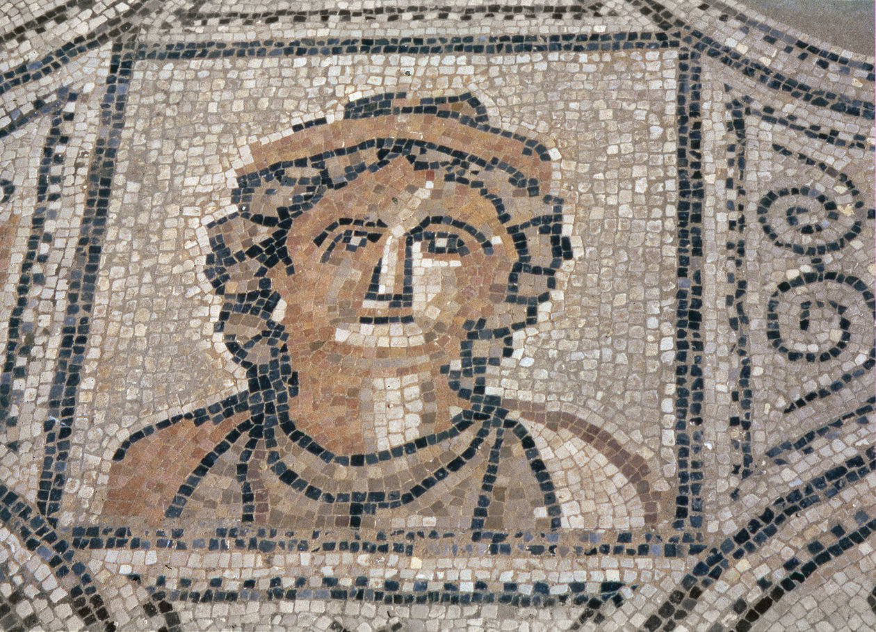 Rzymianka, z podłogi domu (mozaika) autorstwa Roman