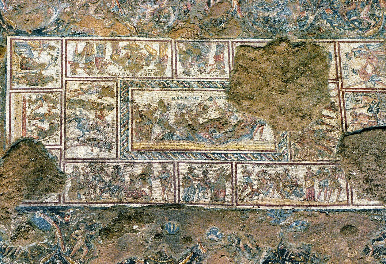 Mozaika seforowa, Tzippori autorstwa Roman