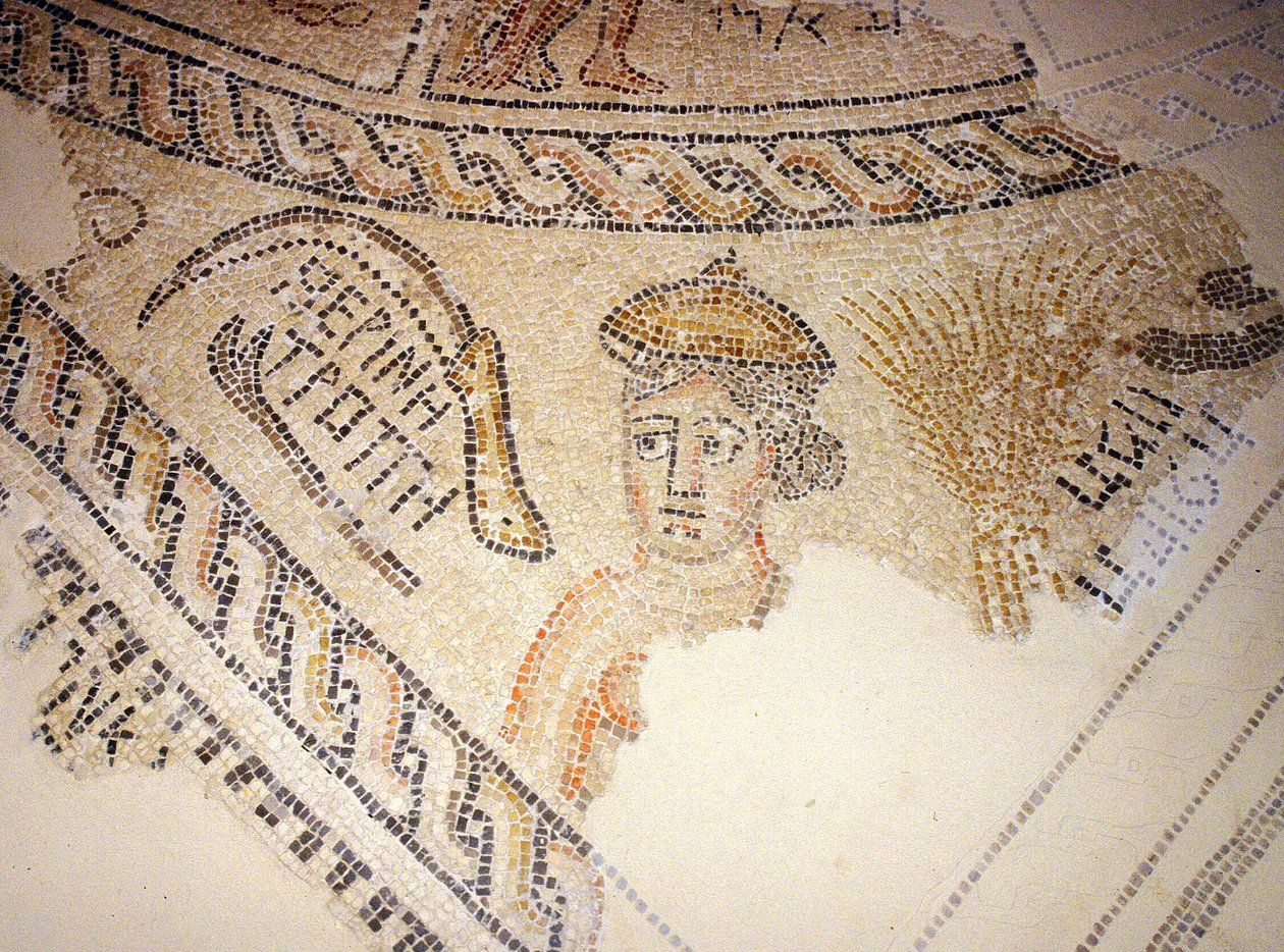 Mozaika Sepphoris, Tzippori (mozaika) autorstwa Roman