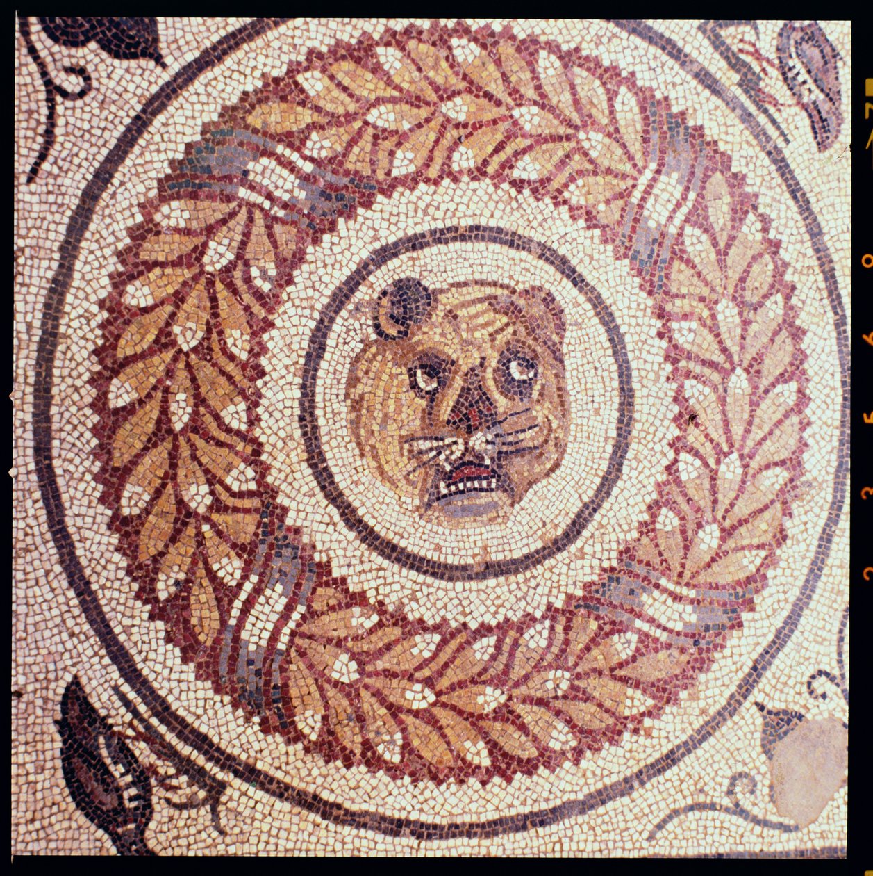 Głowa tygrysa, mozaika rzymska, pocz. IV w. (mozaika) autorstwa Roman