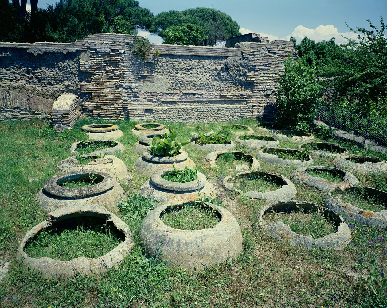 Widok na sklepy autorstwa Roman