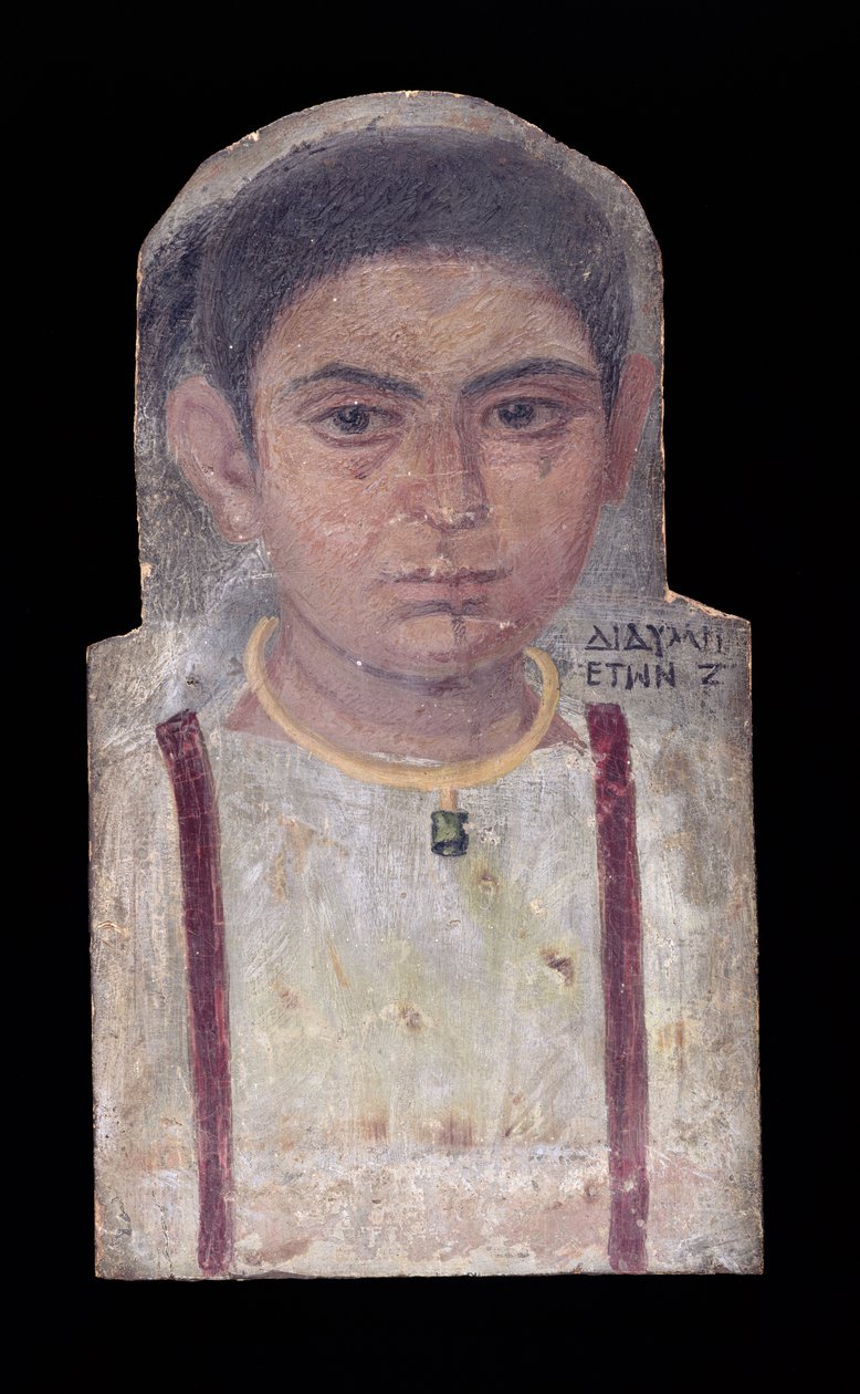Portret mumii młodej dziewczyny, z napisem "Didyme, 7 lat", 180-200 ne (wosk enkaustyczny na panelu) autorstwa Roman Period Egyptian