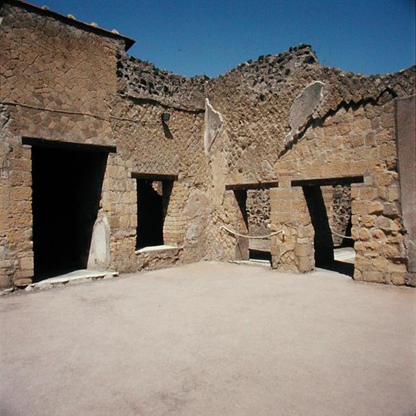 Dom Szkieletu autorstwa Roman Roman