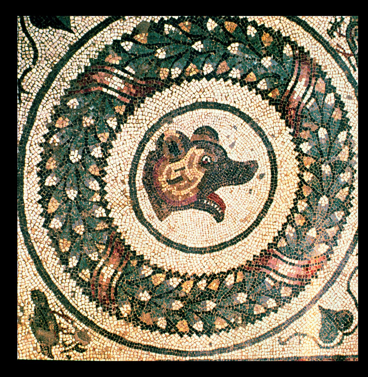 Głowa Niedźwiedzia, mozaika rzymska, pocz. IV w. (mozaika) autorstwa Roman