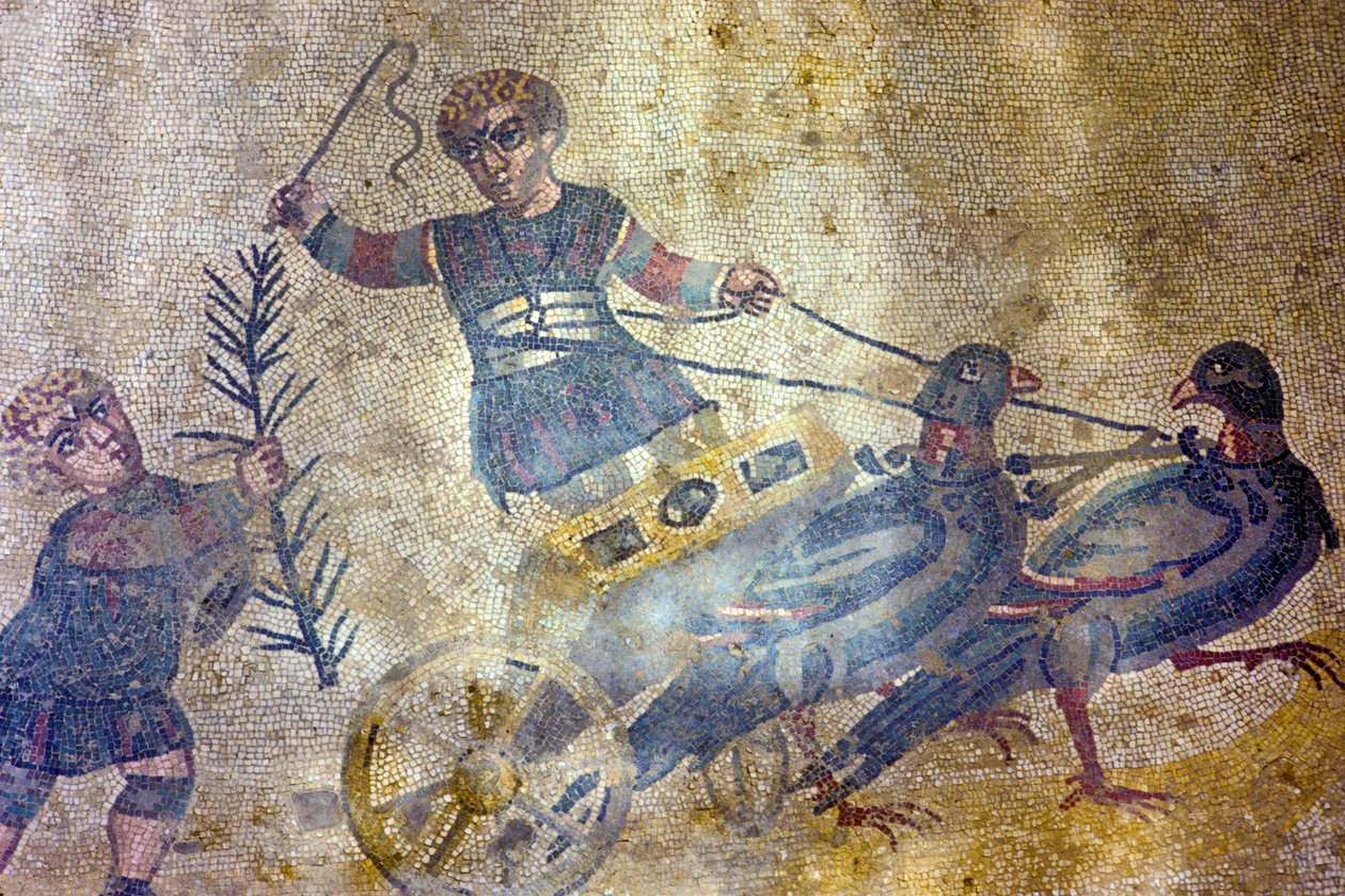 Ptak woźnica (mozaika) autorstwa Roman