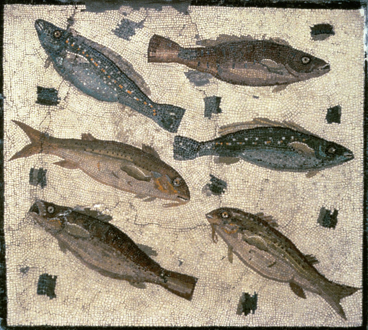 Ryba (mozaika) autorstwa Roman
