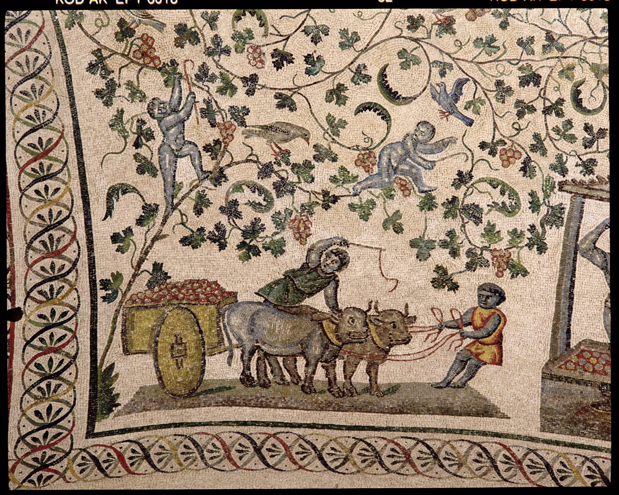 Winogron (mozaika) autorstwa Roman