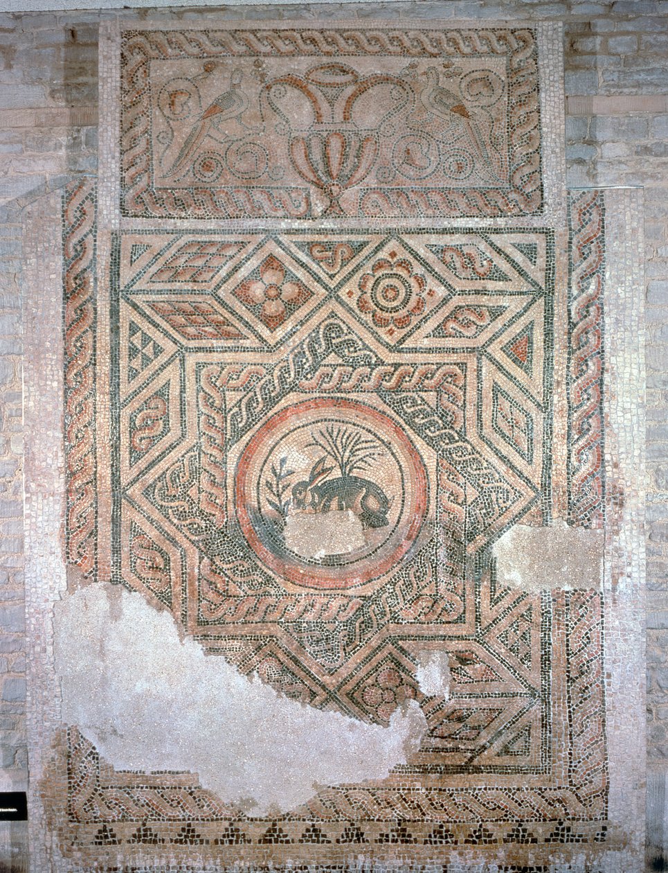 Mozaika Zając, 350 AD (mozaika) autorstwa Roman