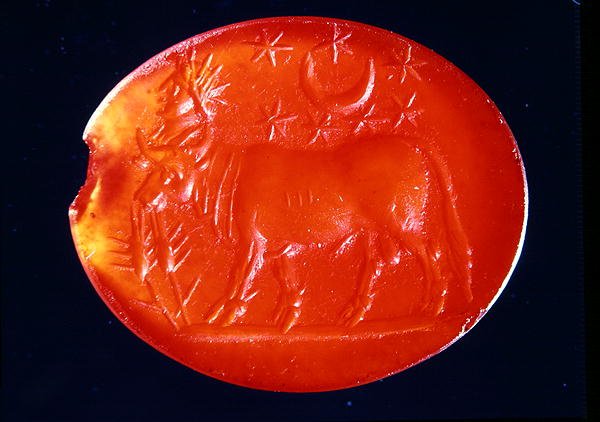 Apis, II-IV wne (karneol) autorstwa Roman Roman