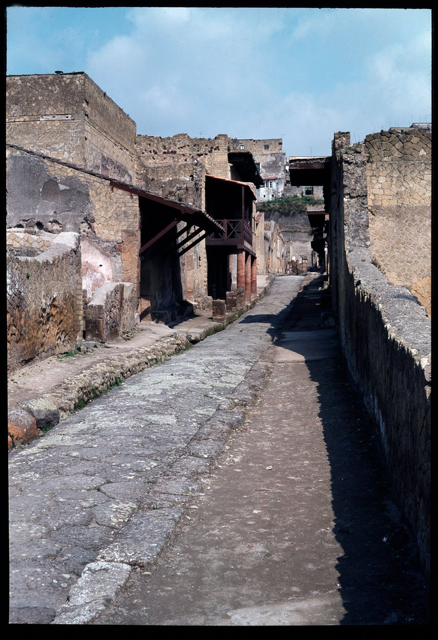 Cardo IV, V wiek pne-I wiek AD autorstwa Roman Roman