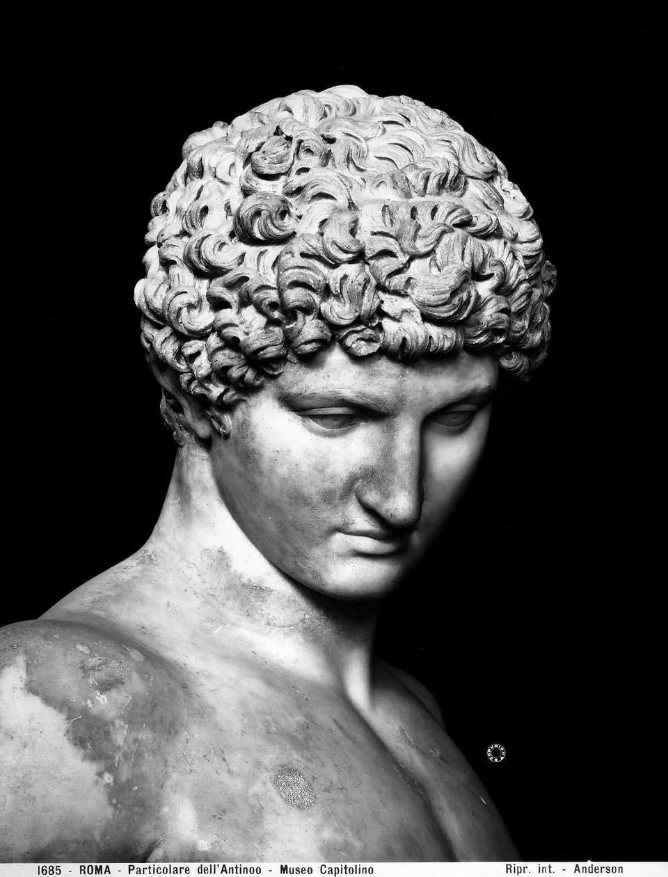 Detal Antinous (marmur) autorstwa Roman Roman